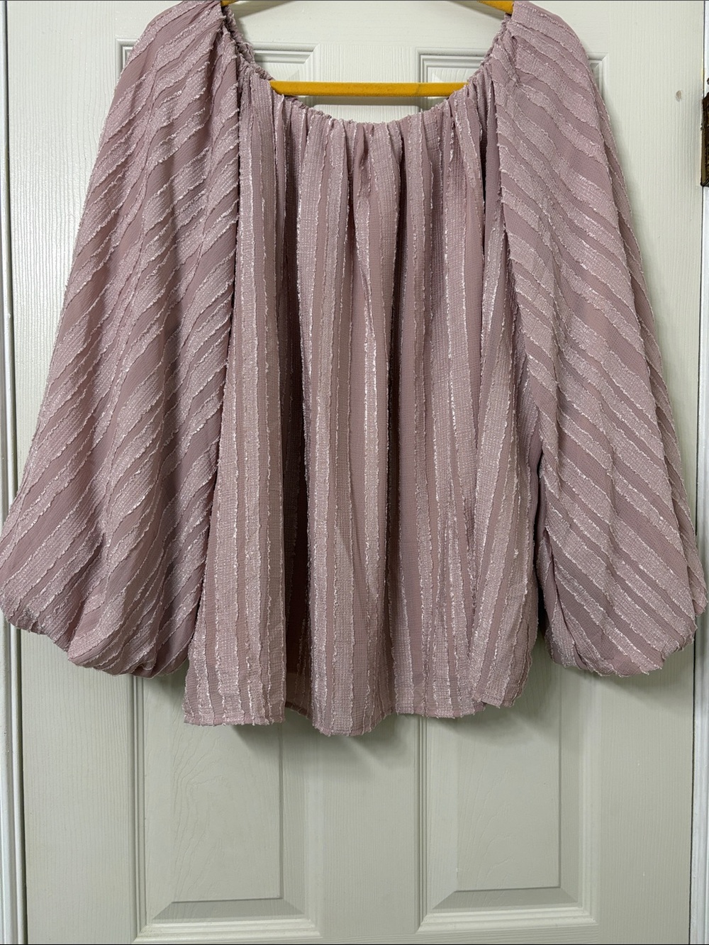 NWOT Renee C. Blush Pink Sheer Peasant Blouse